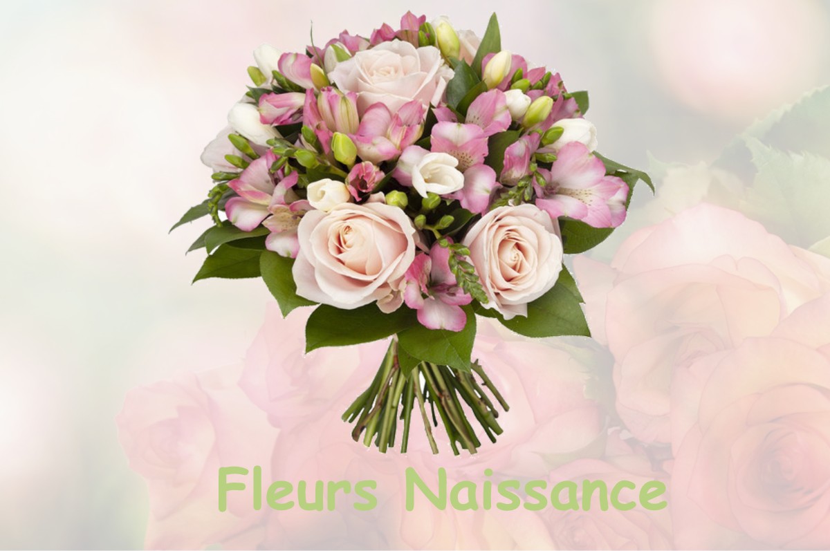 fleurs naissance FARGES-ALLICHAMPS